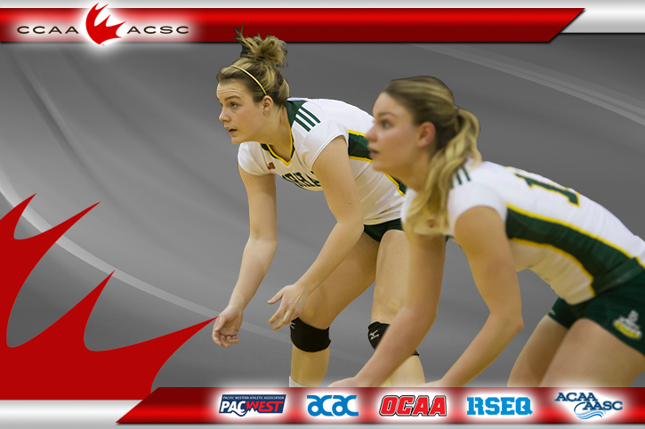 FACP 2018-19: Volleyball