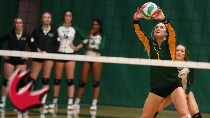 Nine apprentices return to CCAA in 2021-22