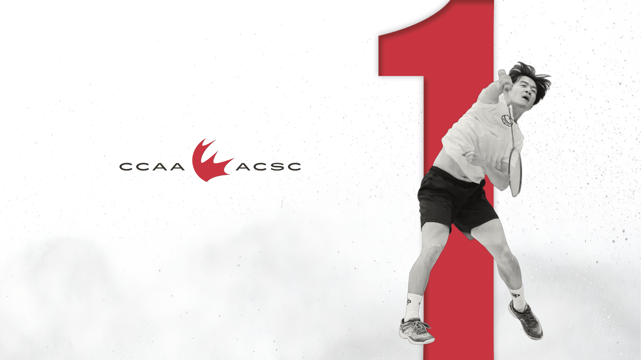 Badminton Rankings